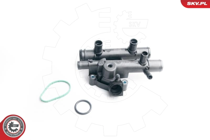 Thermostat, coolant